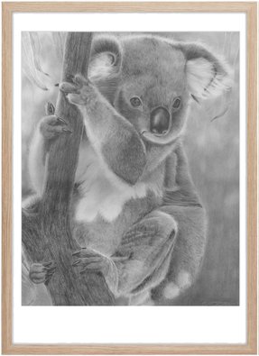 koala dyretegning