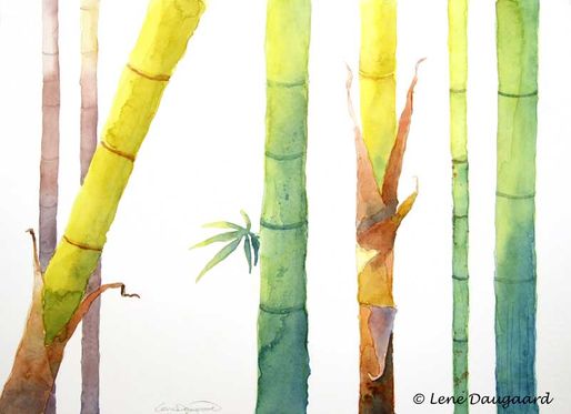 Bamboo Colors