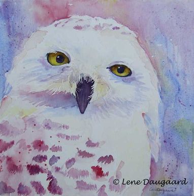 Snowy owl II