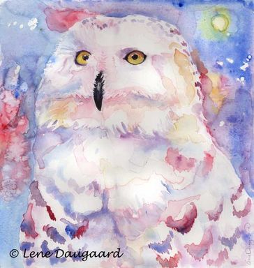 Snowy owl III