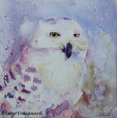 Snowy Owl I