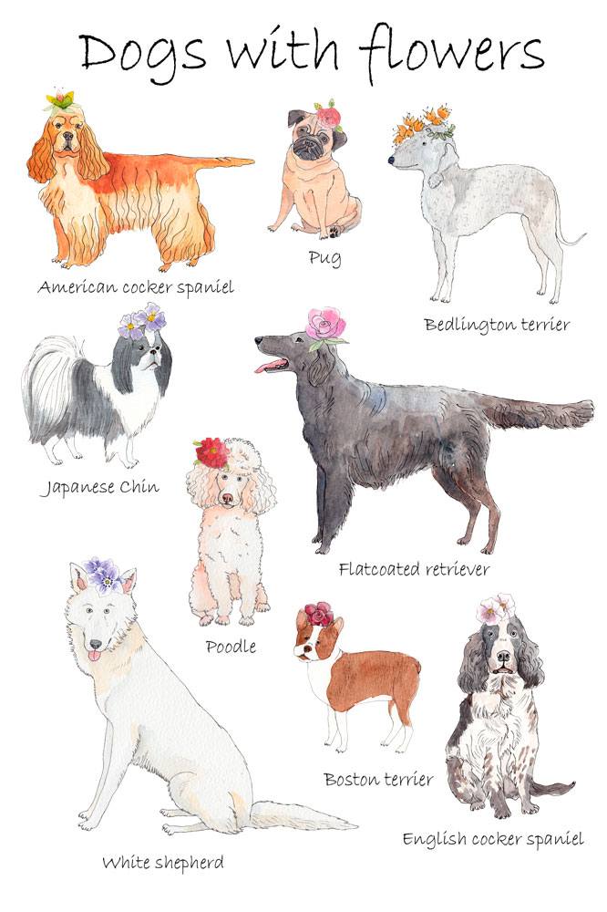 DogsFunflower