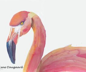 flamingo-CB