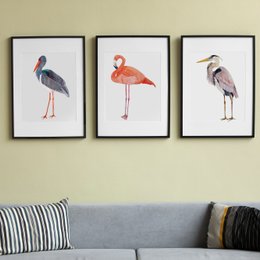 Fugle illustrationer print